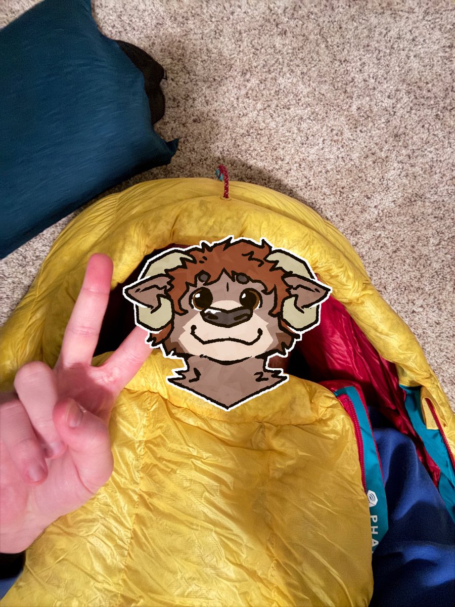 SamTheRamVacker's tweet image. You want to come camping with me so bad (don’t ask about the shark)