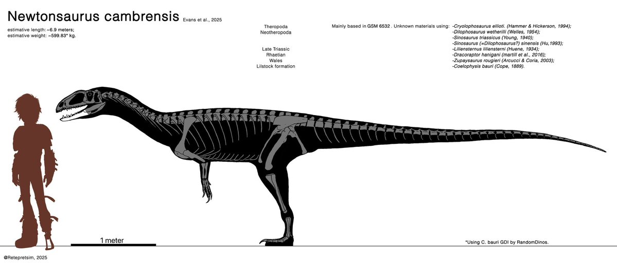 PedroMa23765483's tweet image. Newtonsaurus, the biggest dinosaur predator from the triassic yet

#paleoart