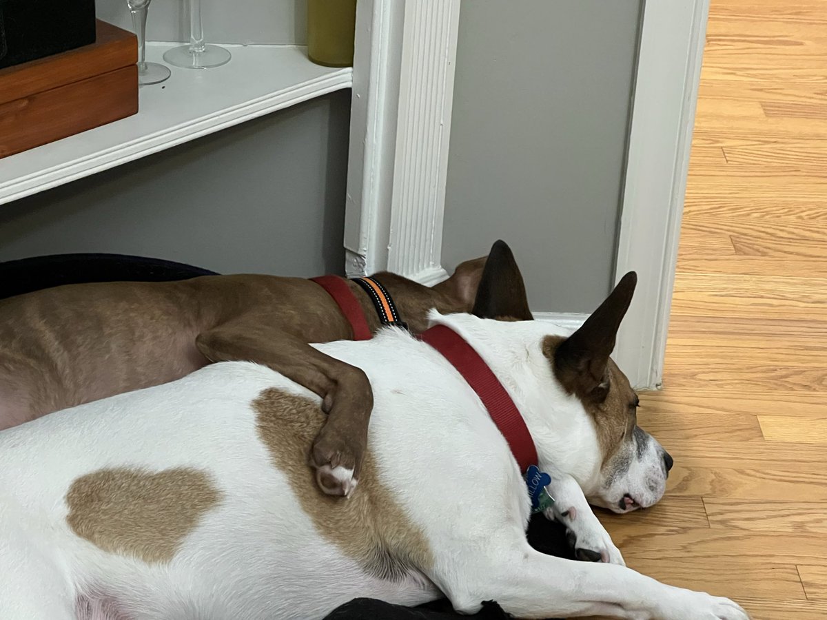 scott weisiger tweet media