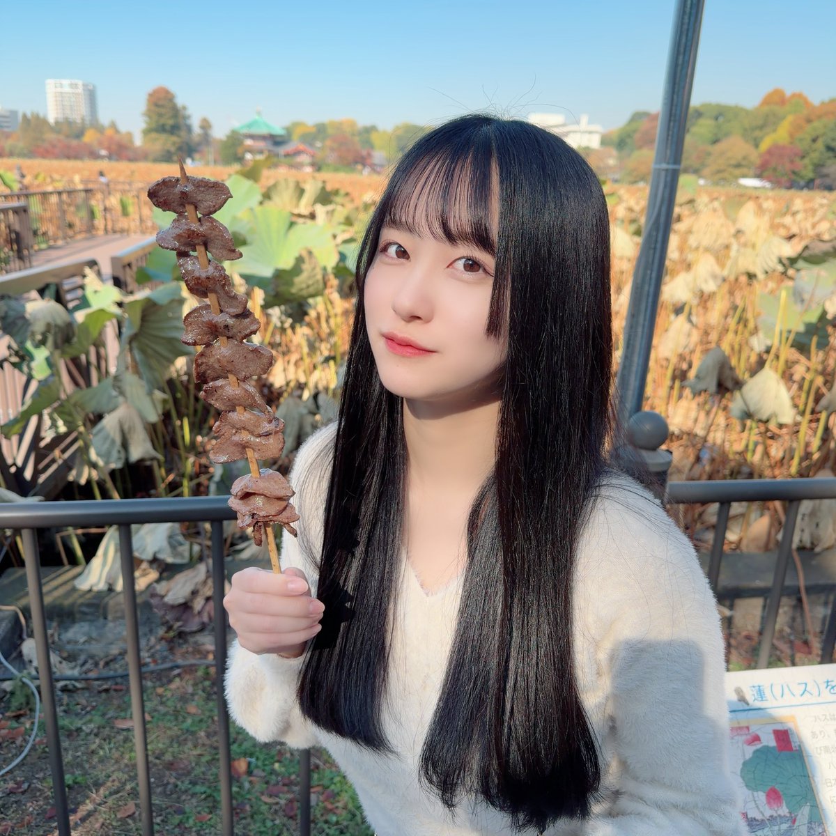 三木環奈(さんのきかんな) (@sannokikanna) / Posts / X