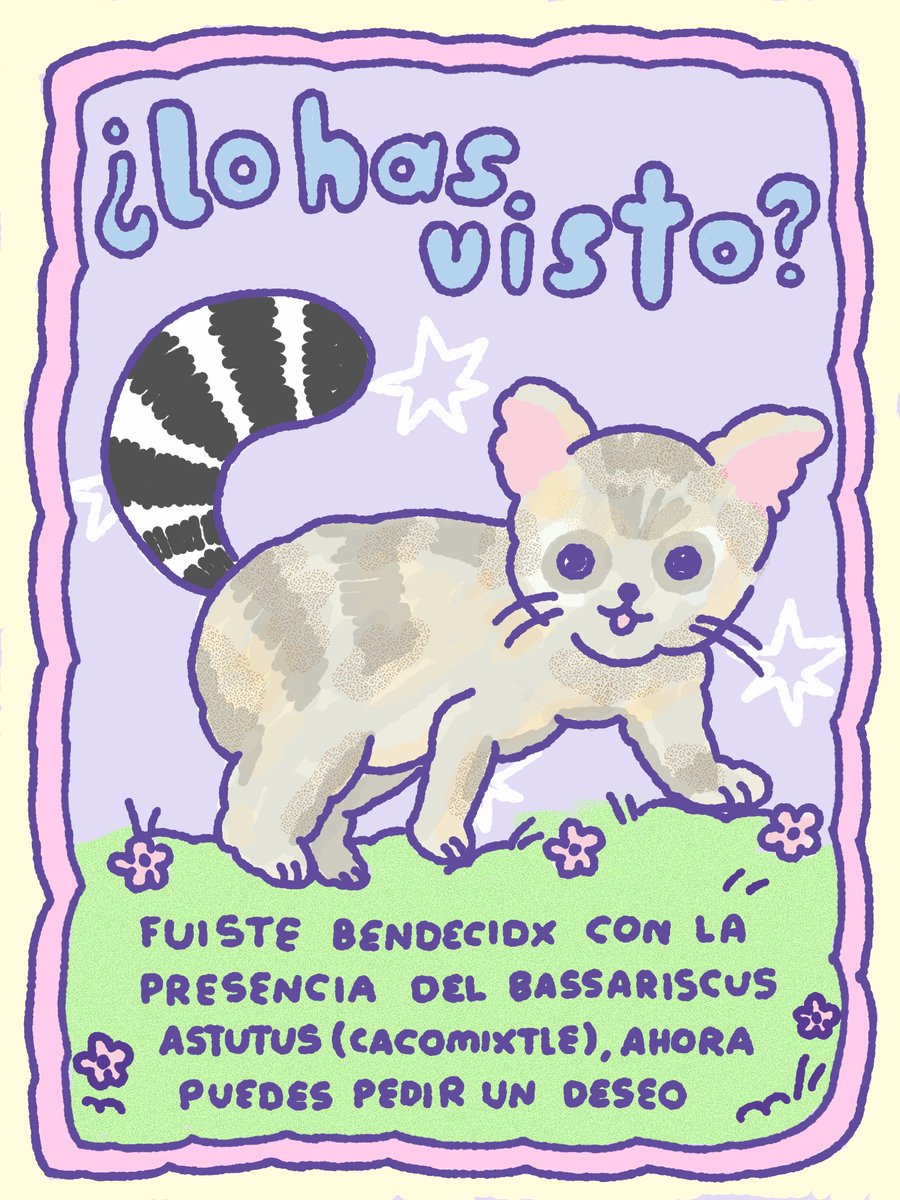 biancagoretti's tweet image. siempre pienso esto cuando me encuentro un cacomixtle