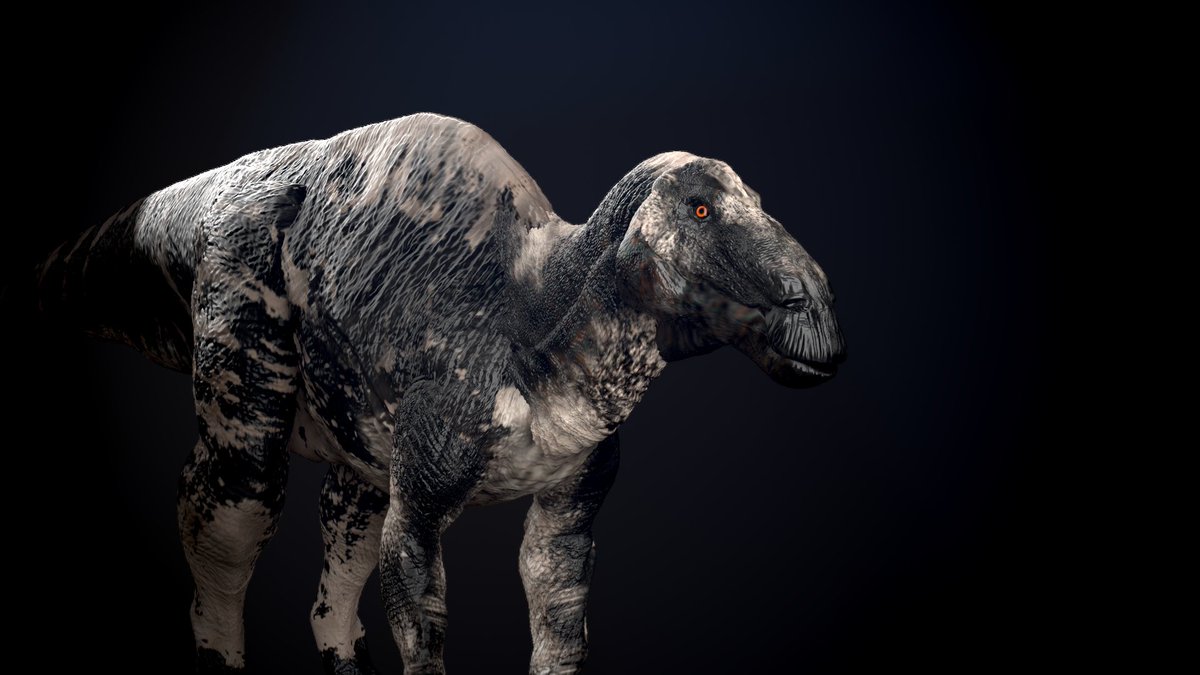 vankev's tweet image. Jour 11 : Edmontosaurus

#Dinovember #paléoart #zbrush