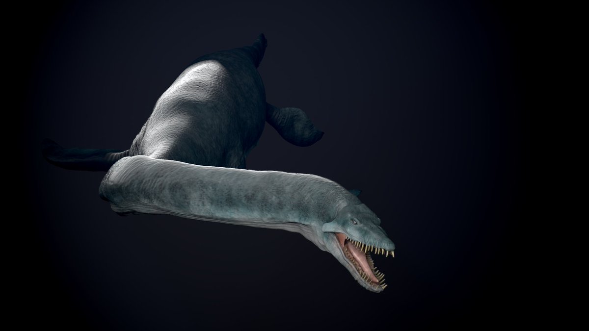 vankev's tweet image. Jour 12 : Plesiosaurus

#Dinovember #paléoart #zbrush