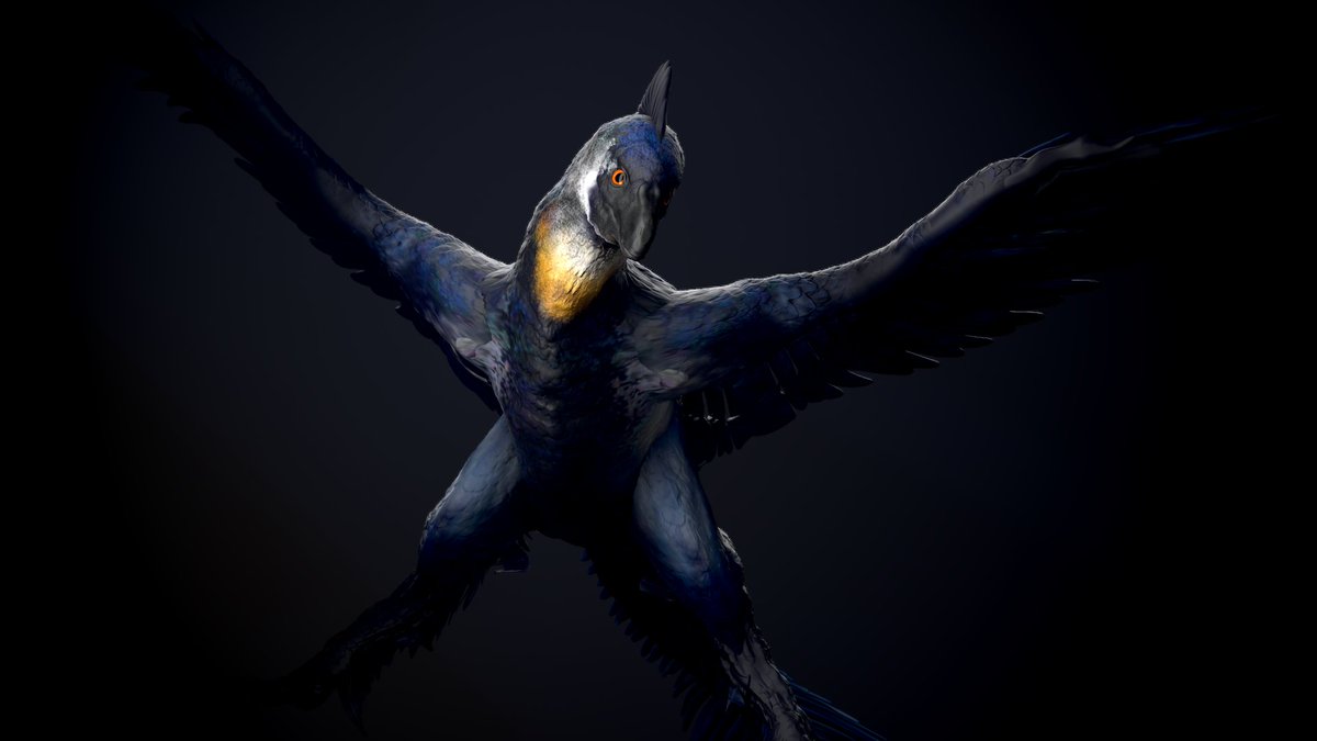 vankev's tweet image. Day 13 : Microraptor

#Dinovember #paleoart #zbrush