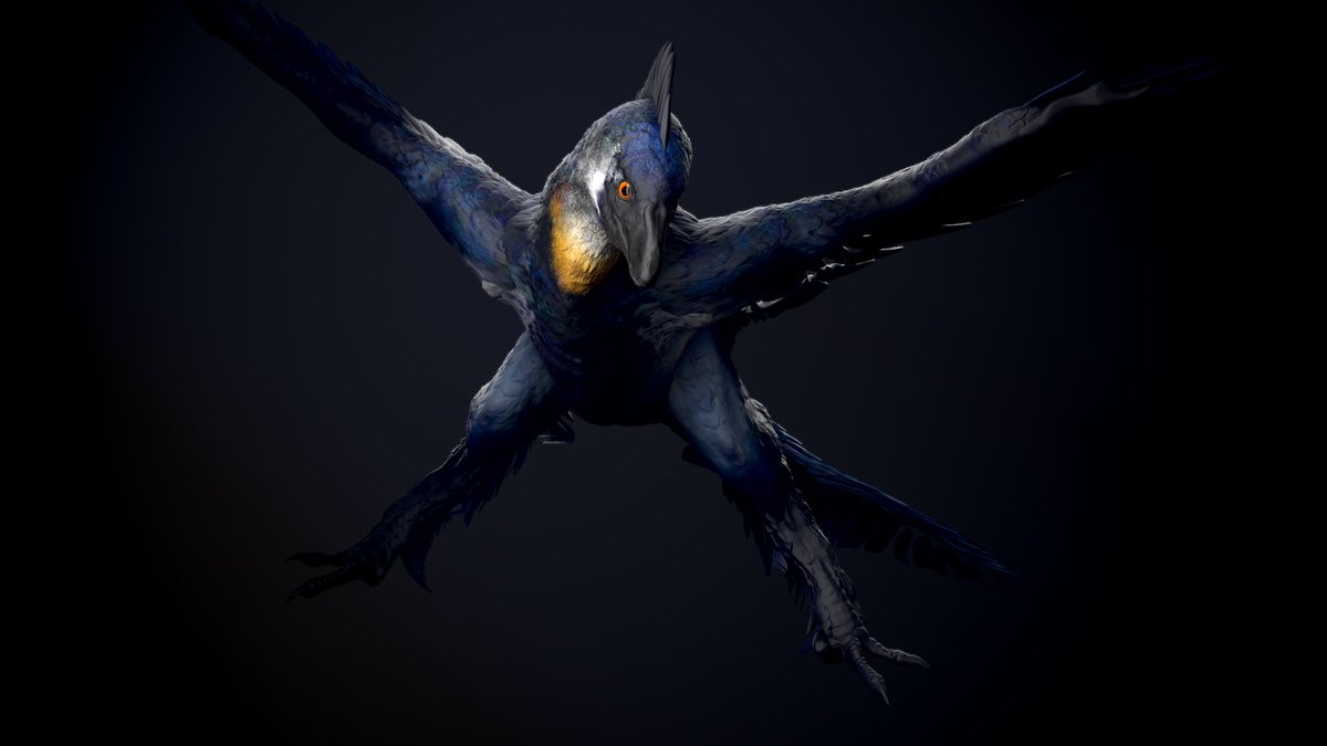 vankev's tweet image. Day 13 : Microraptor

#Dinovember #paleoart #zbrush