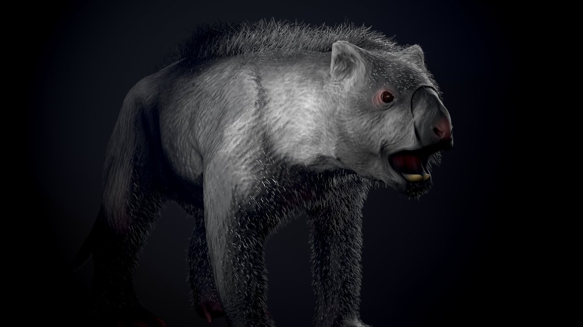 vankev's tweet image. Day 15 : Thylacoleo

#Dinovember #paleoart #zbrush