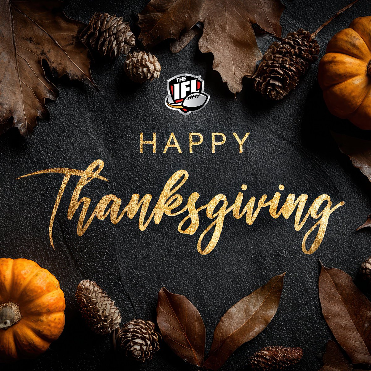 Happy Thanksgiving from the Indoor Football League. 🦃

We’re thankful for our fans, our communities, and everyone who supports the IFL all year long.