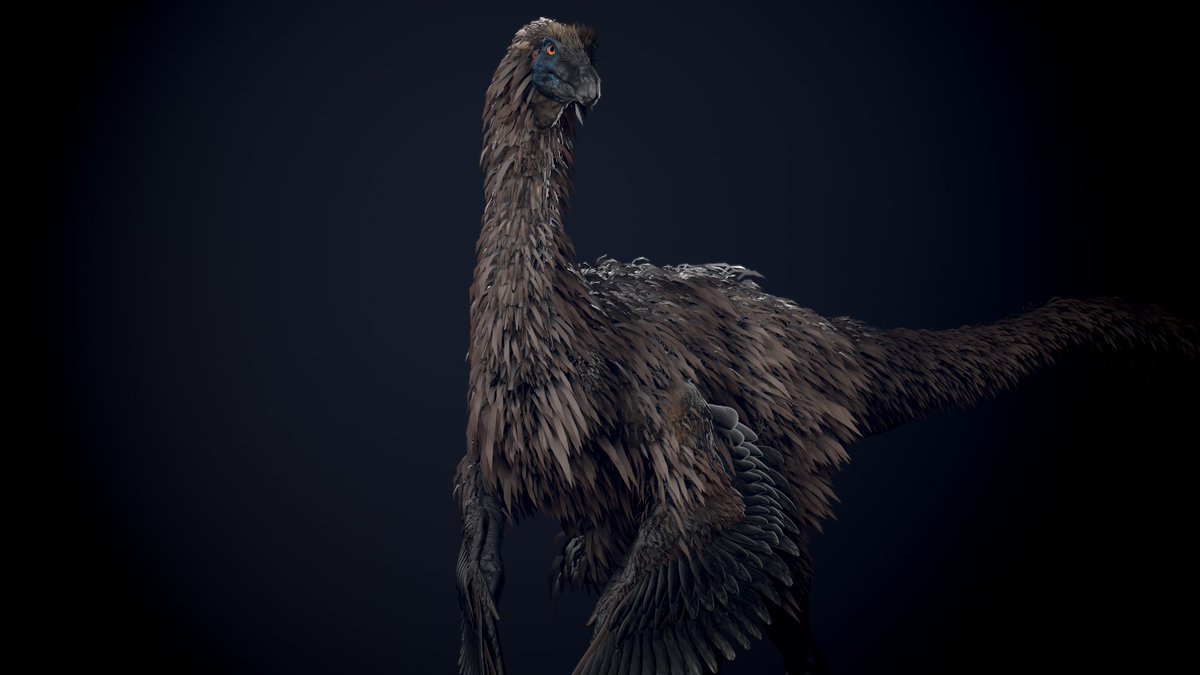 vankev's tweet image. Day 18 : Gallimimus

#Dinovember #paleoart #zbrush
