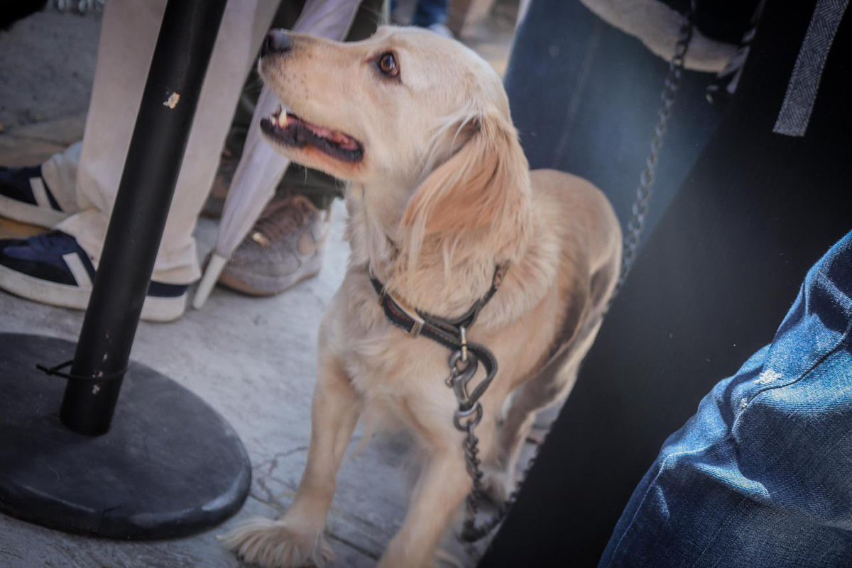 Hoy acompañé al presidente de Toluca, <a href="/rimoba/">Ricardo Moreno</a>, y a la titular del <a href="/DIF_Toluca/">DIF Toluca</a>, <a href="/RocioPeguerosV/">Rocío Pegueros</a>, a la inauguración del Centro de Control y Bienestar Animal, ubicado al norte de la ciudad.

Este espacio brindará servicios de salud, campañas de esterilización y vacunación, así como