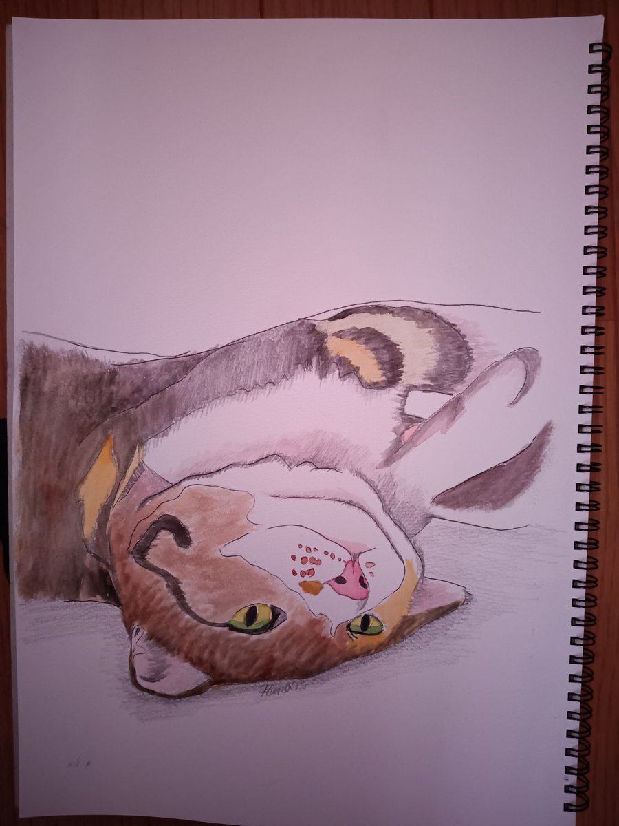 kana（かなでぃん） (@ka05na1) / Posts / X