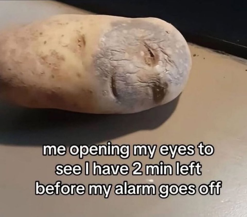 chaotic memes (@memechaotic) on Twitter photo 