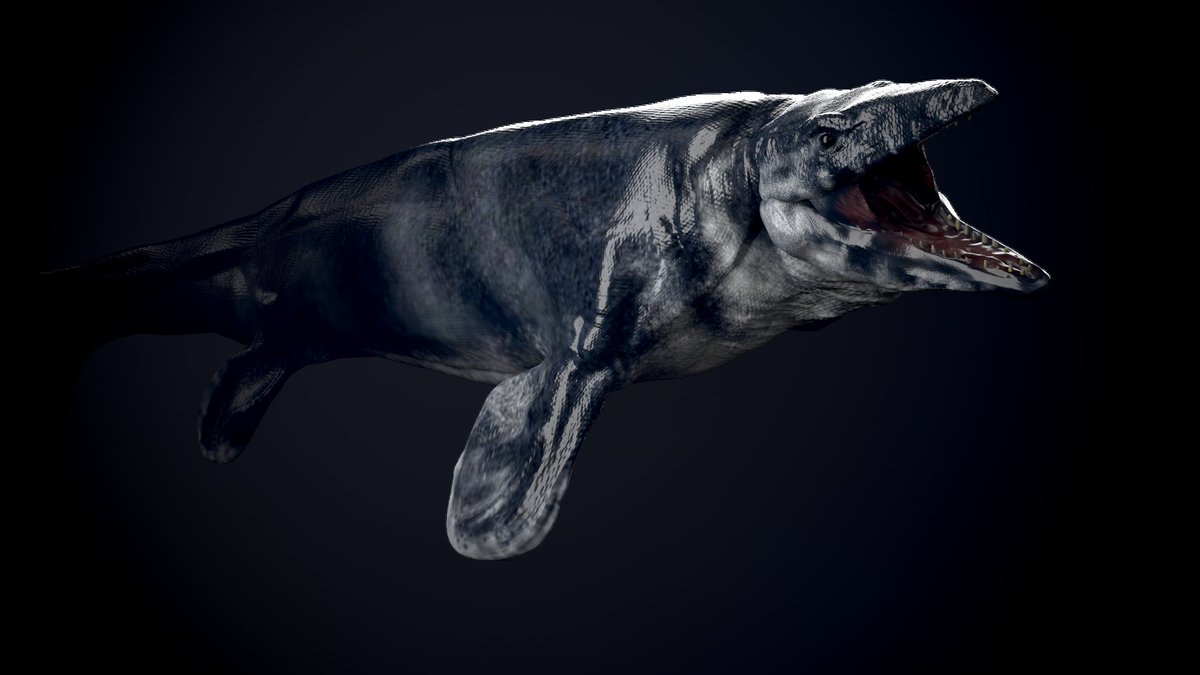 vankev's tweet image. Day 19 : mosasaurus

#Dinovember #paleoart #zbrush

Trigger warning! NOT A DINOSAUR! I didn&apos;t make the prompt list...Thanks