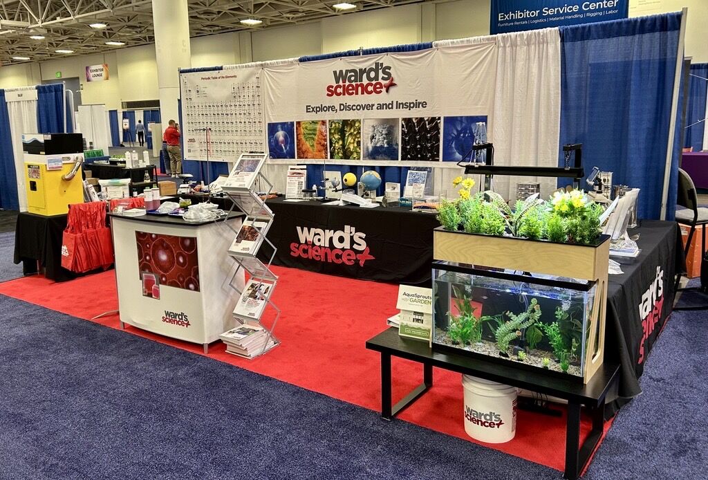 AquaSprouts's tweet image. November was a marathon of science education! We were thrilled to have demos set up with Ward&apos;s Science at @NSTA, @TXScienceSTAT &amp;amp; @STANYSorg  connecting with educators from across the country. Here’s to a great end of the year &amp;amp; getting more students growing!

#STEM #Aquaponics