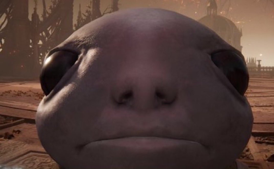 Nightmare tweet media