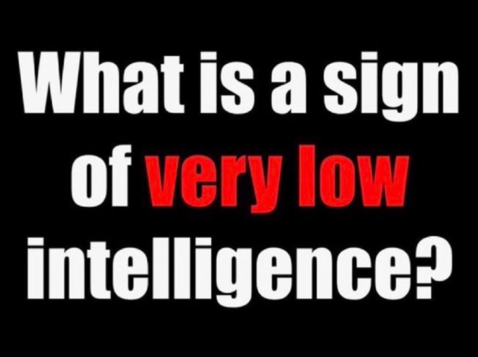 NoahsArk1000's tweet image. 