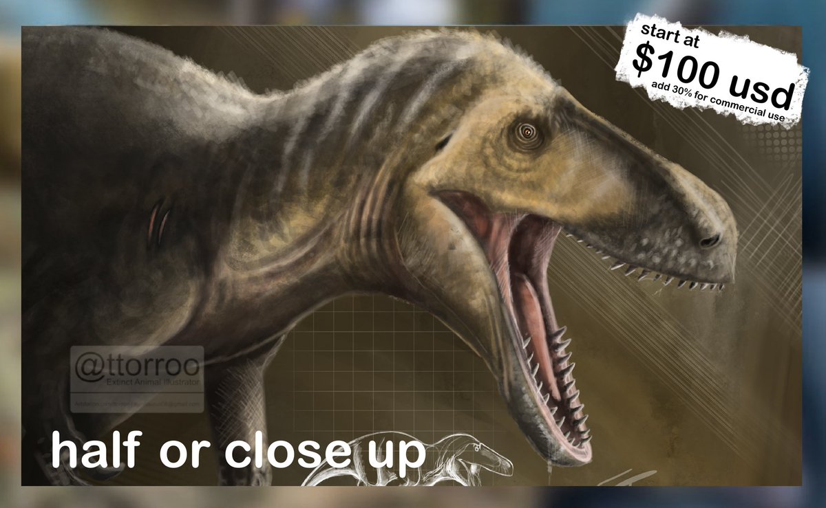 ttorroo's tweet image. Hello everyone, i am toro and i do animal illustration, mostly extinct one. and this is some examples of my works..

if you want to ask anything please DM or email me at anytime. and pls likes and shares just in case someone needs it 

#paleoart #illustration #Commissionopen