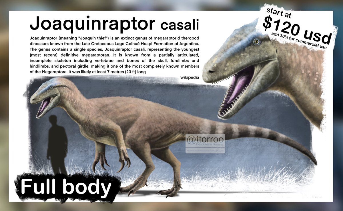 ttorroo's tweet image. Hello everyone, i am toro and i do animal illustration, mostly extinct one. and this is some examples of my works..

if you want to ask anything please DM or email me at anytime. and pls likes and shares just in case someone needs it 

#paleoart #illustration #Commissionopen