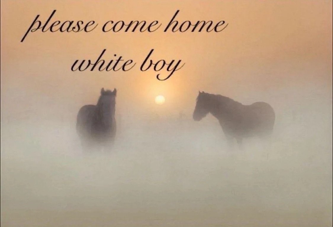 StreamBeans tweet media