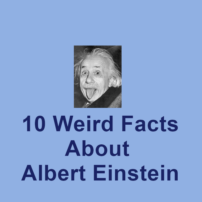 500wayscom's tweet image. Discover ten weird facts about Albert Einstein in the intellectual playground at 500ways.com/albert-einstein (#AlbertEinstein, #Einstein, #USHistory, #scienceHistory, #TheoryOfRelativity, #history, #physics, #EMC2, #Princeton)