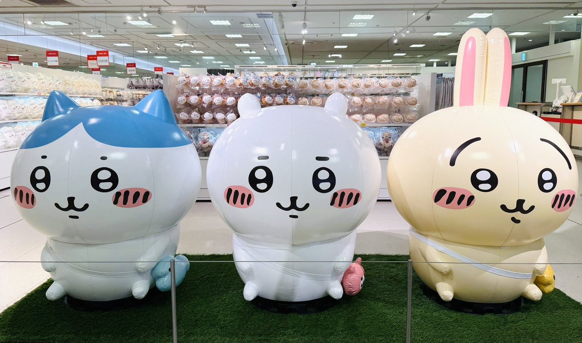 しぇいこん (@jyugonwife) / Posts / X