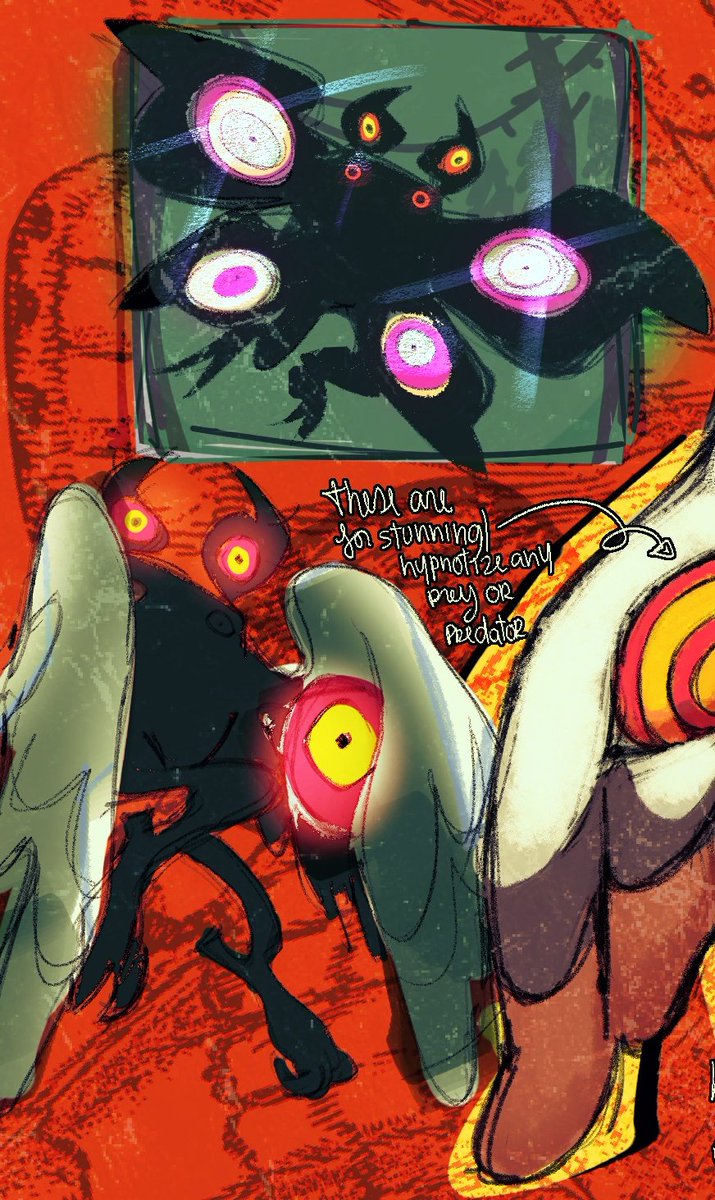 carmoule COMMS OPEN (3/5) tweet media