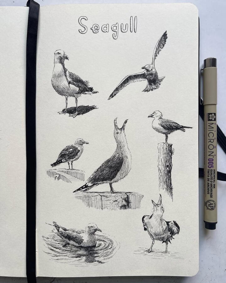 DesignStack_co's tweet image. (press the link, to see of this)
#Seagulls drawing study  🍃️🌺️🍃️
Ink #Animal Drawing Living in a #Sketchbook.  More art from Yusufkayaon our site. designstack.co/2025/11/ink-an…