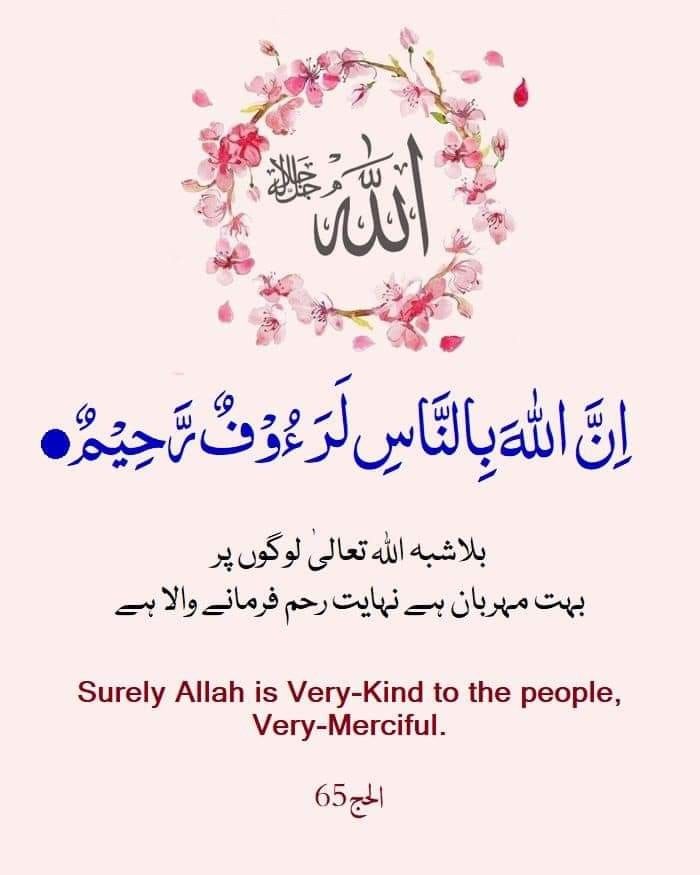 السلام علیکم ورحمتہ اللہ وبرکاتہ