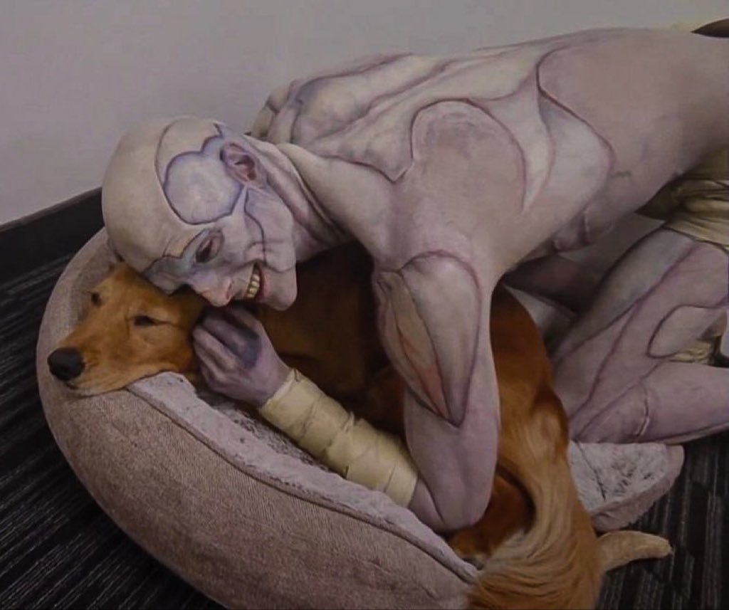 its_frnknstein's tweet image. behold: the creature meeting for the first time a puppy. !! you&apos;re welcome. your tl has been blessed, you can go on with your week. this is a lucky photo.