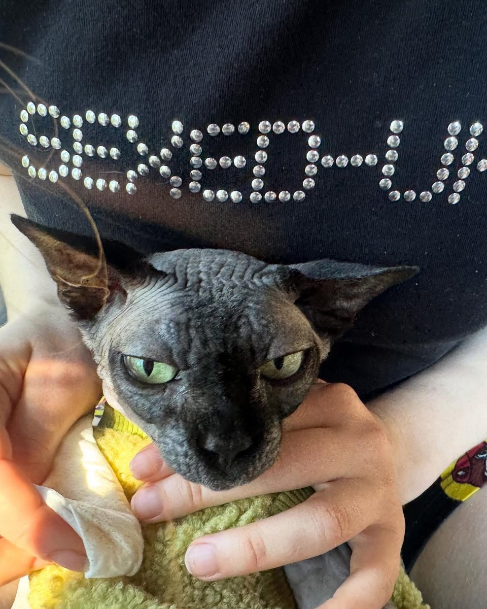 glusong's tweet image. chappell &amp;amp; trinket &amp;lt;3