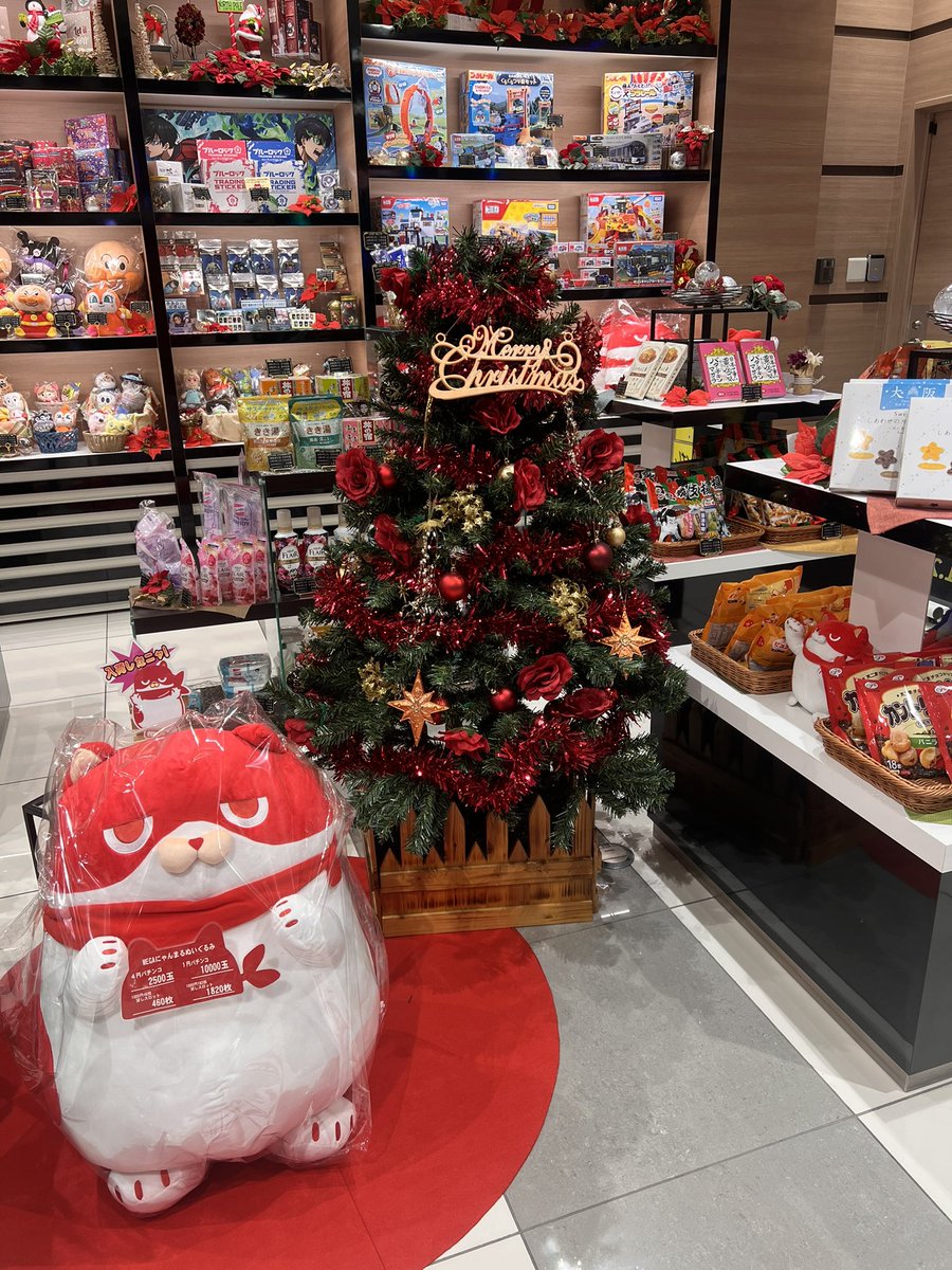 まるさん クリスマス カナですっ🫧 にゃんまると撮影スポット作りました🐱❣️ サンタさんに