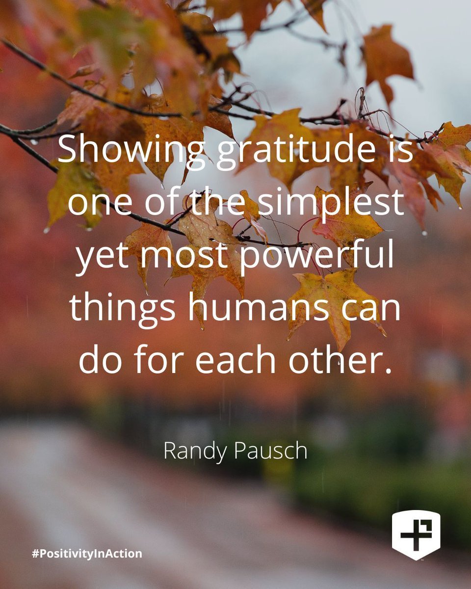 PosProject's tweet image. &quot;Showing gratitude is one of the simplest yet most powerful things humans can do for each other.&quot;
- Randy Pausch
#PositivityInAction