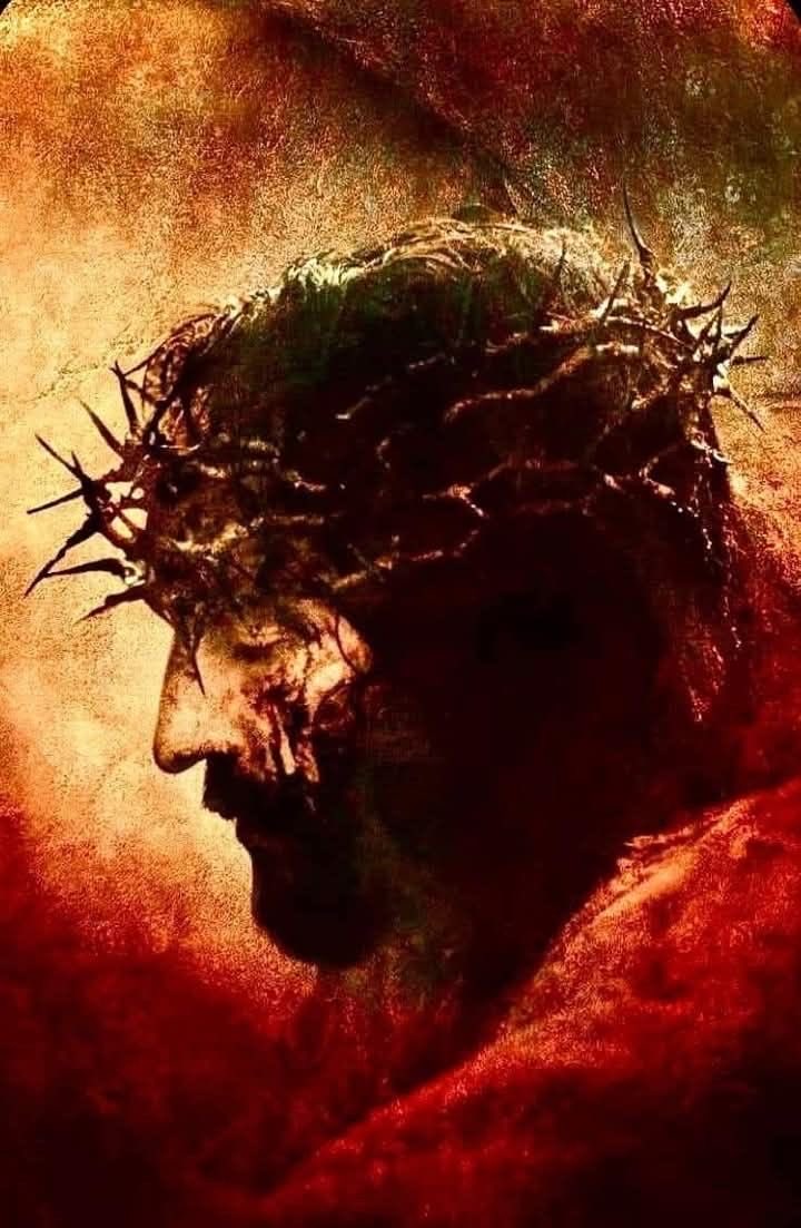 JefferyFasching's tweet image. Generous hearts complain of nothing. Be strong in the trials of life. 

St. Padre Pio.