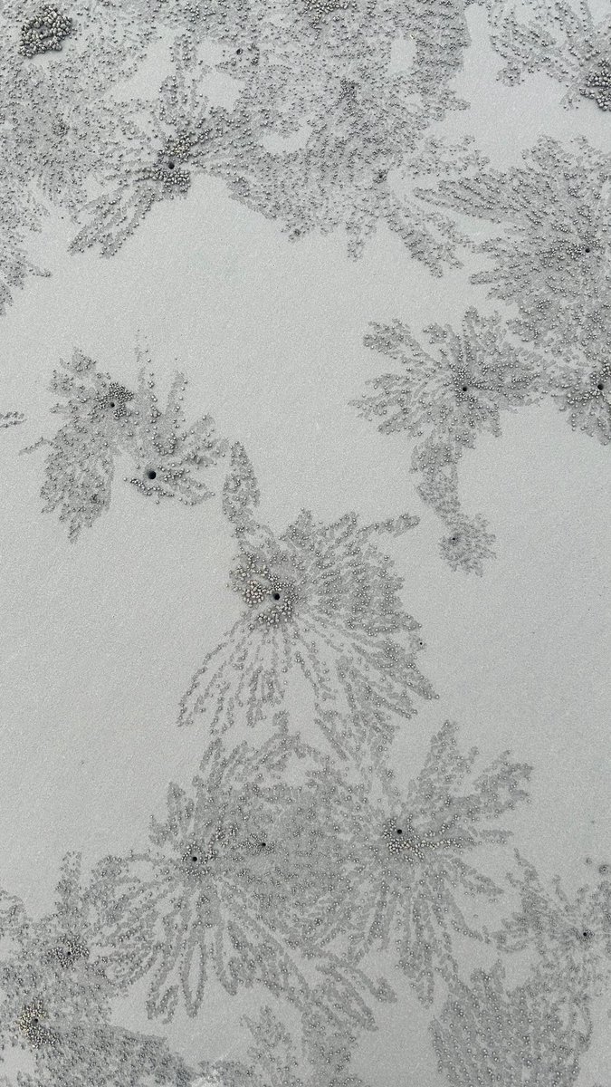 uhCaribe's tweet image. We were all born to create