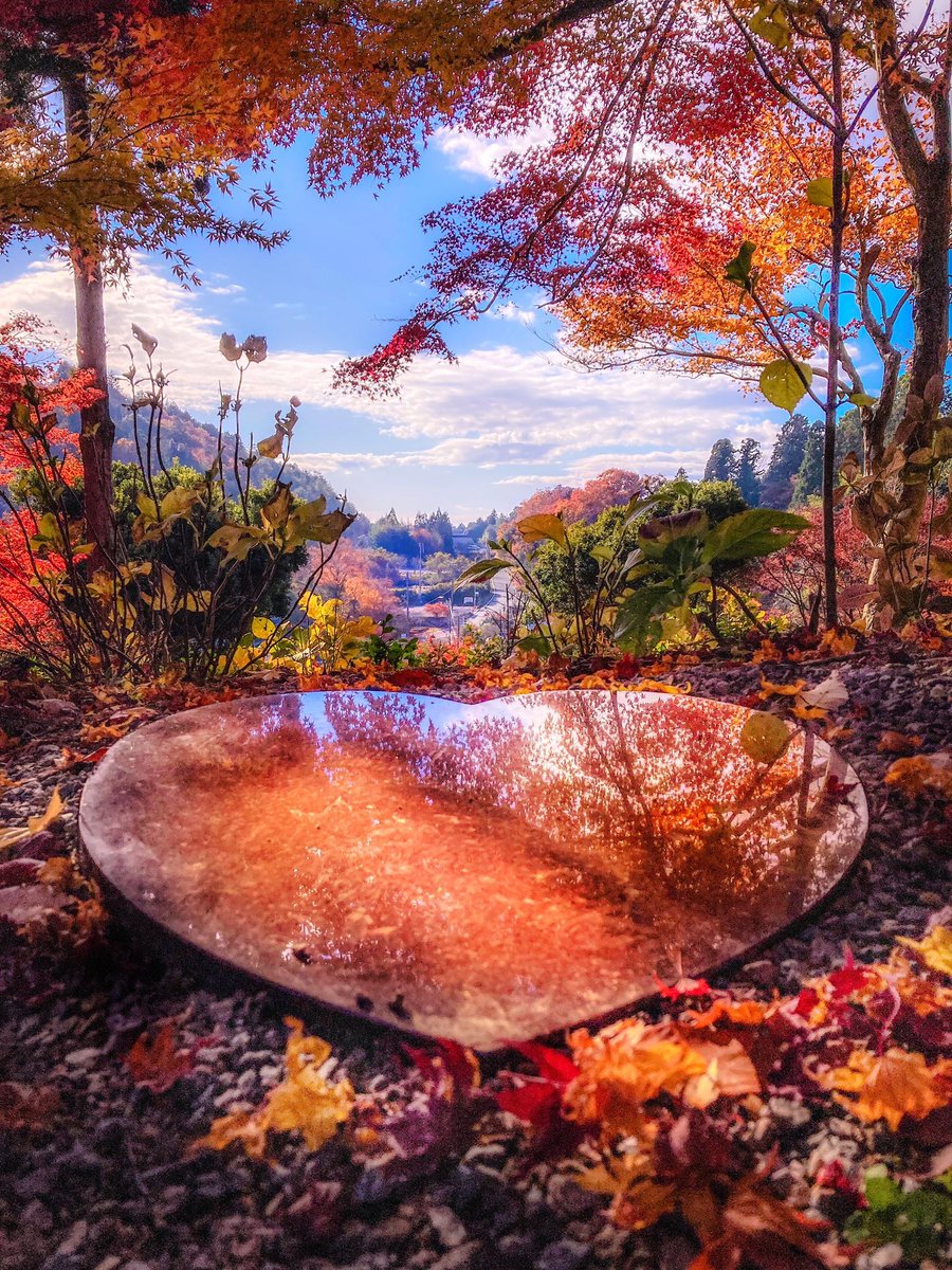 youkokuji's tweet photo. 昨日のインスタライブでは、ハートリフレクション紅葉の場所をご案内しております。よければご覧くださいませ。
撮影
@macchan358 https://t.co/FDL7tuQfiD