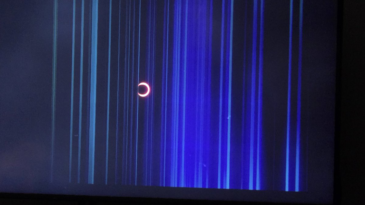 Michele Clarke tweet media