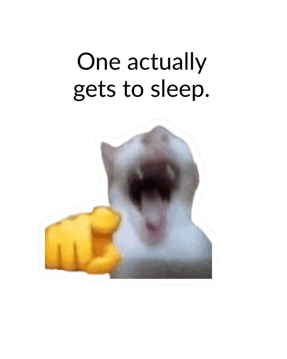 WallStreetOasis's tweet image. 😭 Apologies in advance for the dad joke
---------
🚀 Thousands already broke into high finance with WSO Academy.

💪 1:1 mentorship + mock interviews + live bootcamps = offers.

✅ Your turn! 🔗 Apply now 👉 wallstreetoasis.com/academy?affili…

#memes #investmentbanking #wallstreet