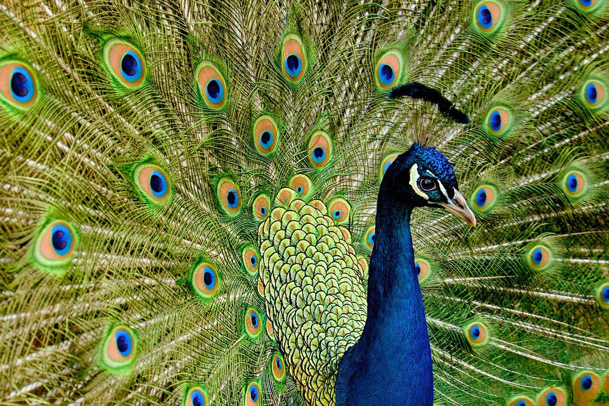 AUTHENCHECK's tweet image. Founder in #AI or #Authentication?

The AUTHENCHECK® US Trademark &amp;amp; Domain Bundle is YOUR moment.

Seize this divine opportunity to own the future of trust.

Submit your offer now at AuthenCheck.com!

#Verification #Identity #FounderMode