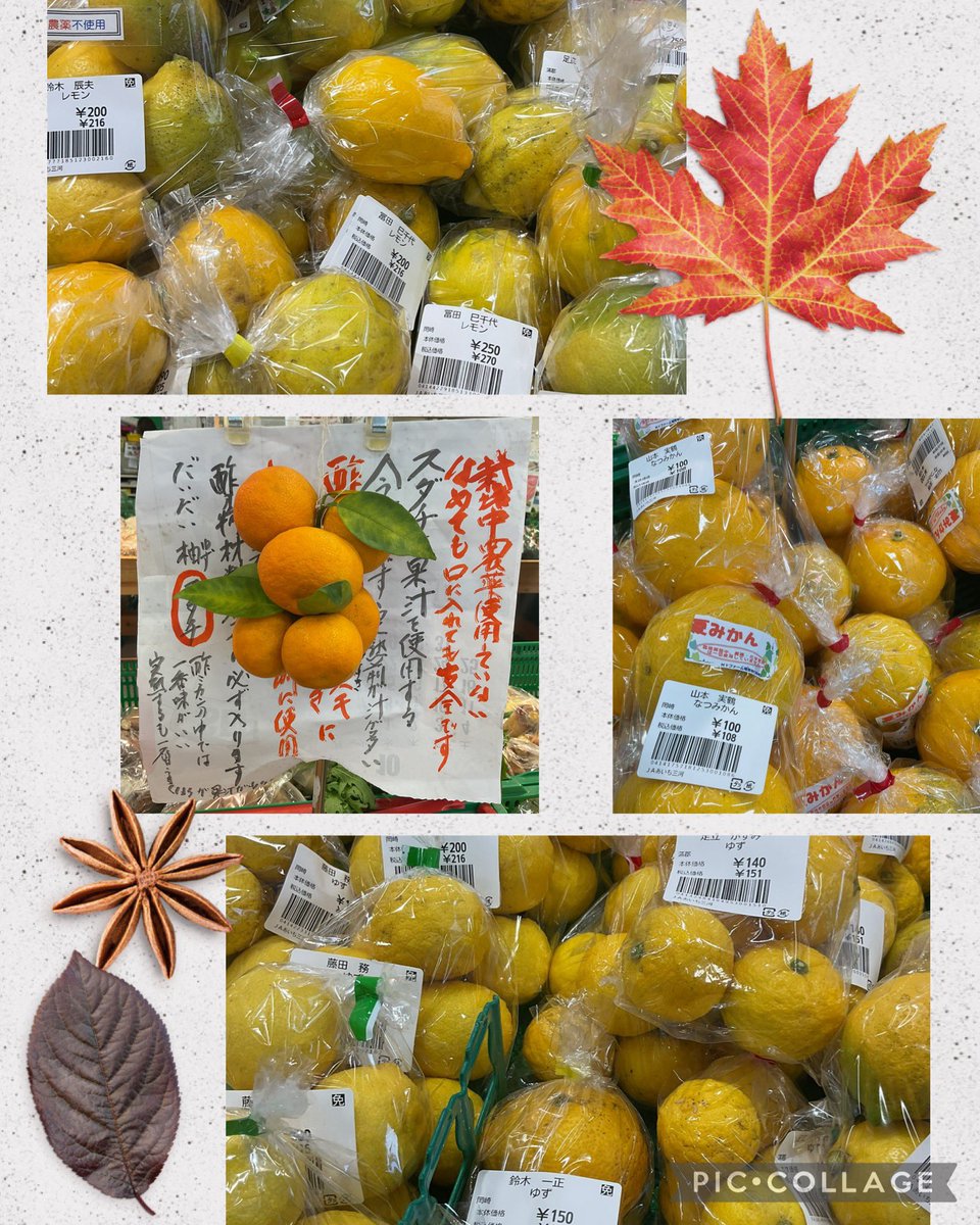 柑橘系 たくさんの柑橘系が登場 みかんをはじめ、ゆず、橙、かぼす