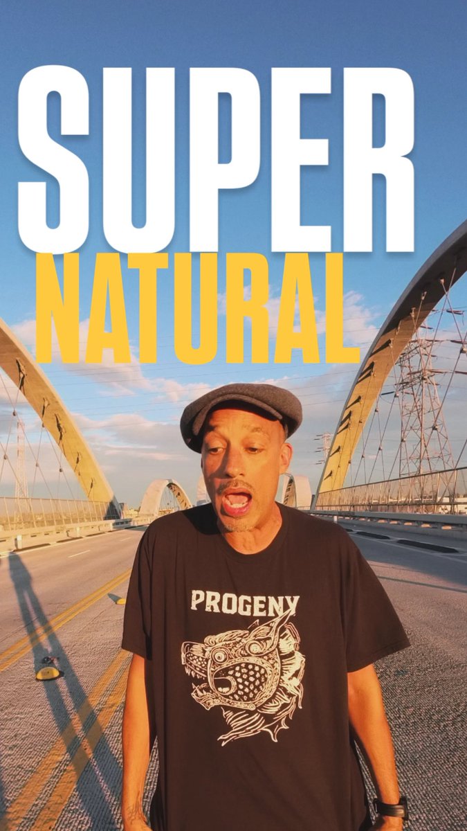 dothepigeon tweet media