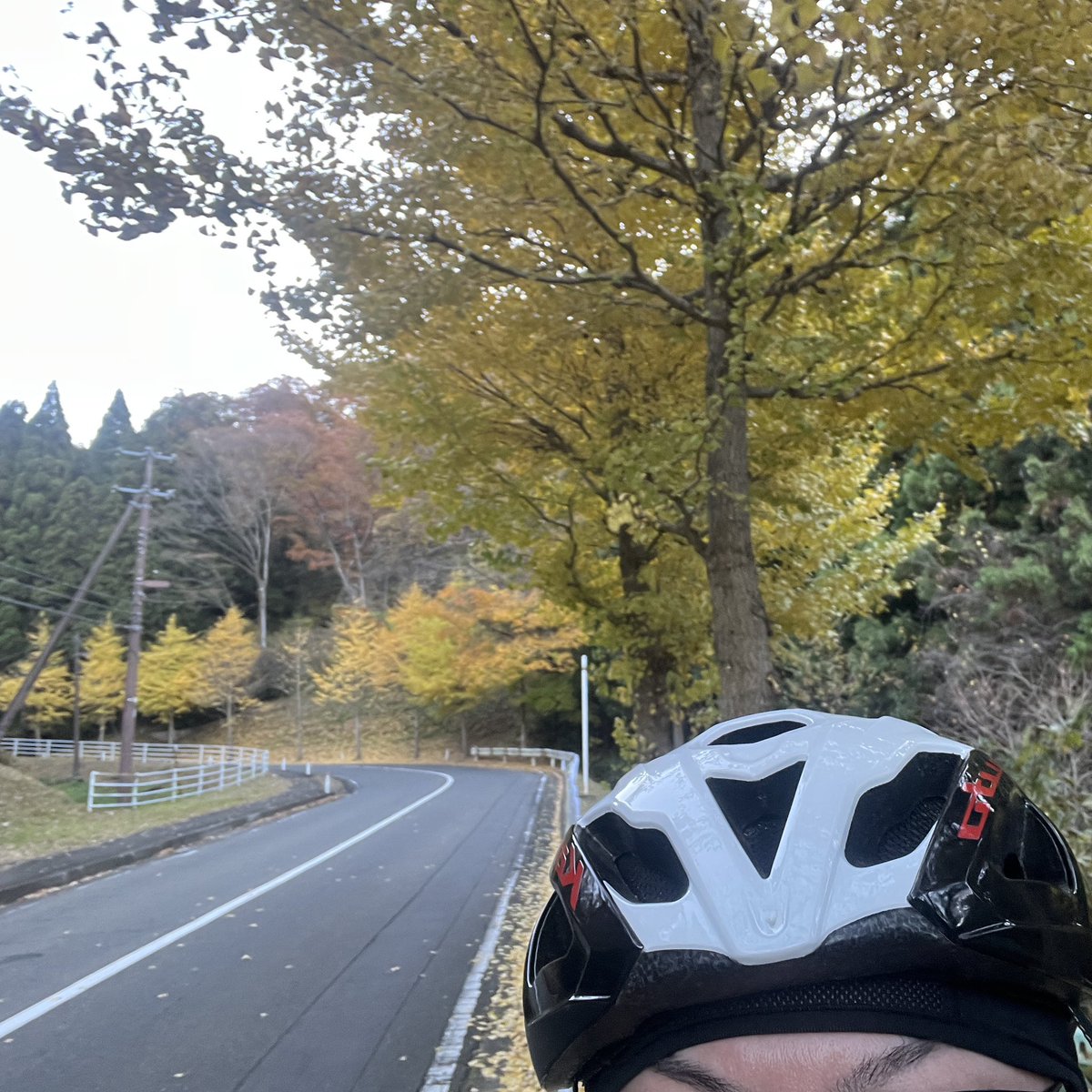 kaji_phone's tweet photo. 上り坂は、やっぱり苦しい😅
#グリーンピア岩沼
#サイクリング #ロードバイク #クロモリ #myアンカー #オージーケーカブト #宮城県 #岩沼市
#cycling #roadbike #RNC7 #bridgestoneanchor #anchorbikes #ogkkabuto #miyagi https://t.co/D8hDh3BdGJ