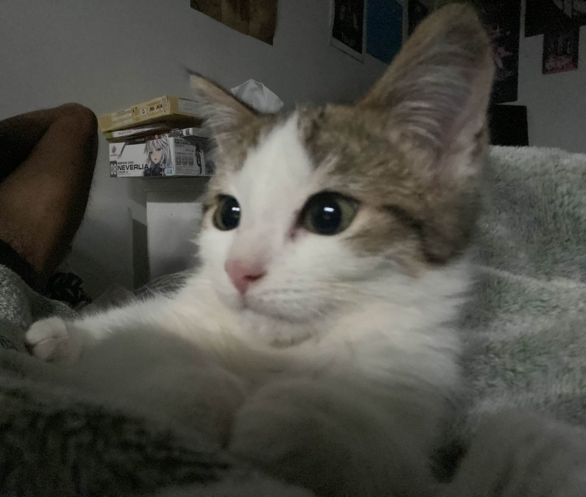 Samprdc's tweet image. 