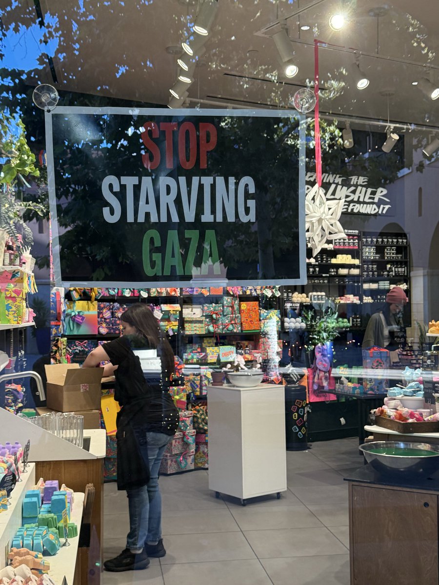 I was going to do some Black Friday shopping at <a href="/lushcosmetics/">Lush North America</a> today because I like their soaps, but I can’t support a company that supports Palestinian propaganda. 

Palestinian propaganda is HAMAS propaganda. 

Lush stores are covered in Palestinian propaganda. Yuck.