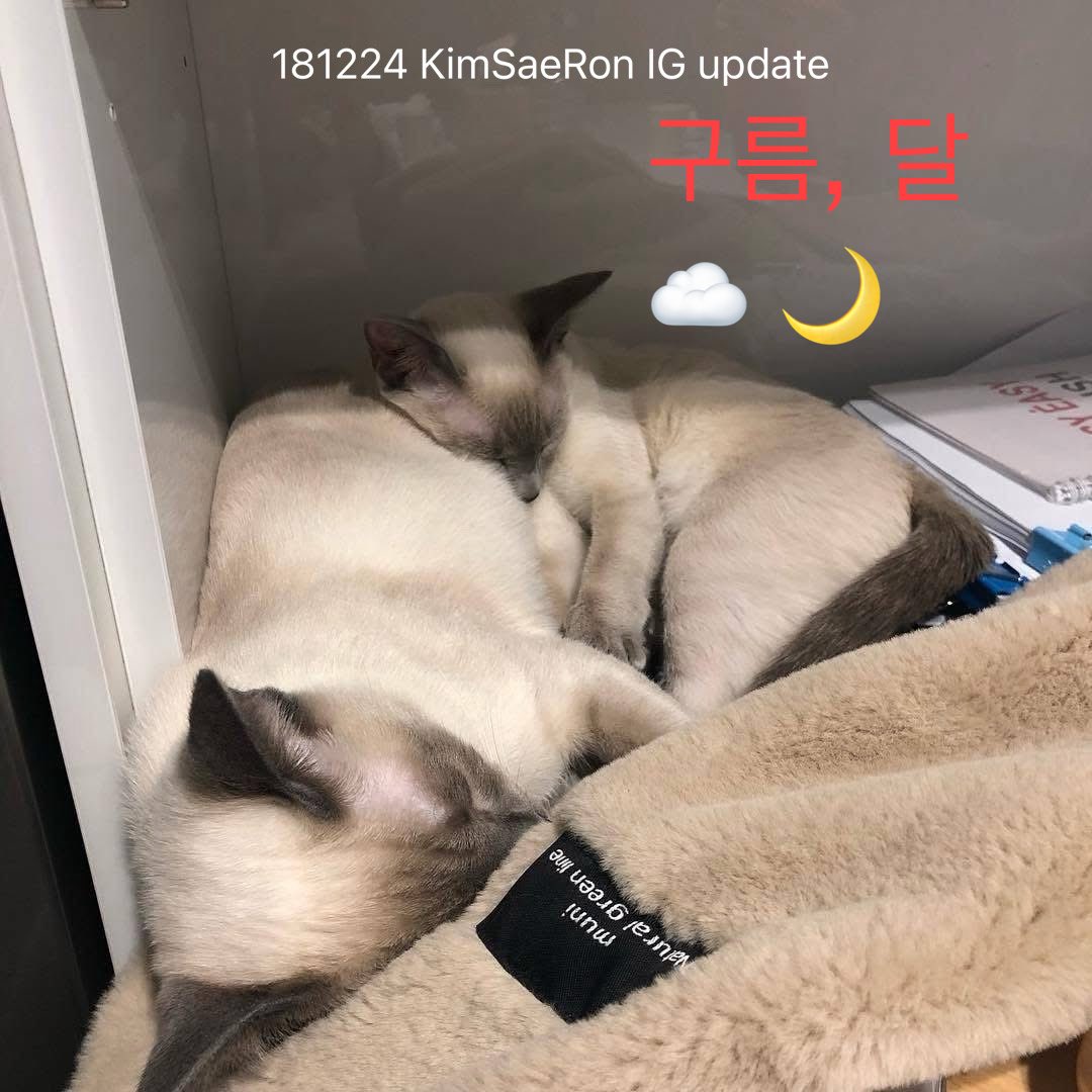 Kimsoohyun_TH's tweet image. 180219 :  호떡
181224 :  달 , 구름

These pictures were posted by Kim Sae Ron on her own Instagram account.

These cats are not the same ones that had their names changed; they are different cats from the beginning.