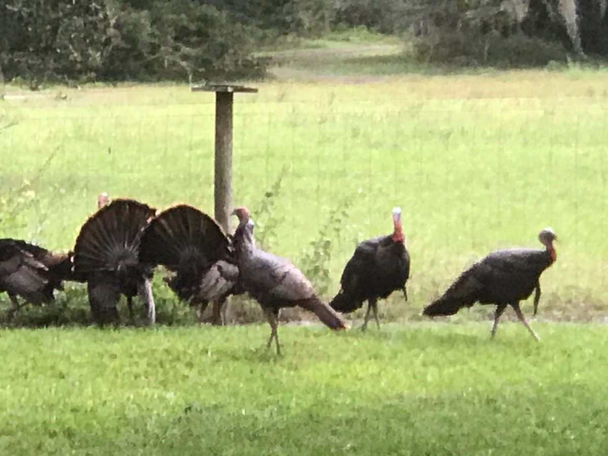 Porter Butler 2029 tweet media