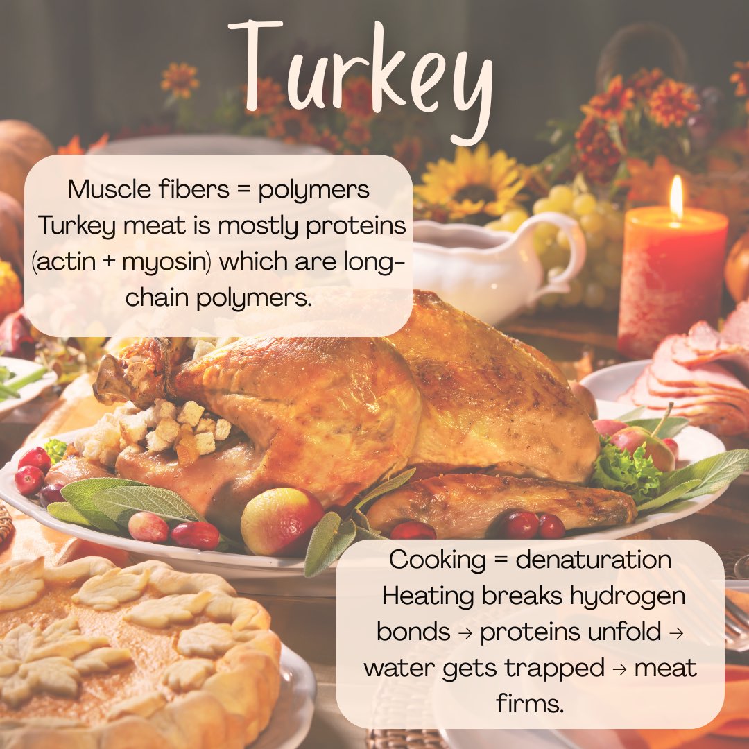 GTMSE_3's tweet image. Turkey. Bread. Pie. And a whole lot of materials science 🦃🍞🥧  
Polymers, foams, and composites never tasted so good.  
#MSE #MaterialsScience #Thanksgiving