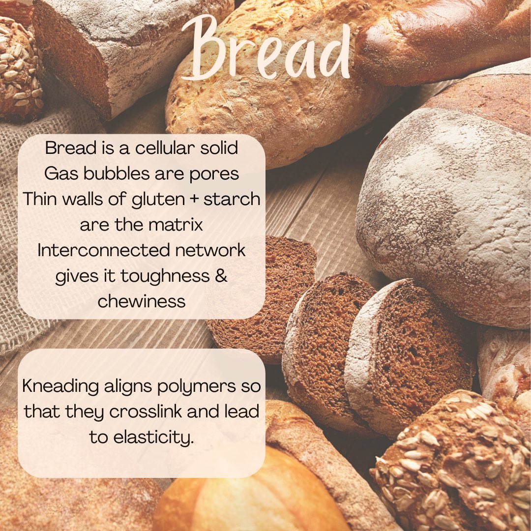 GTMSE_3's tweet image. Turkey. Bread. Pie. And a whole lot of materials science 🦃🍞🥧  
Polymers, foams, and composites never tasted so good.  
#MSE #MaterialsScience #Thanksgiving