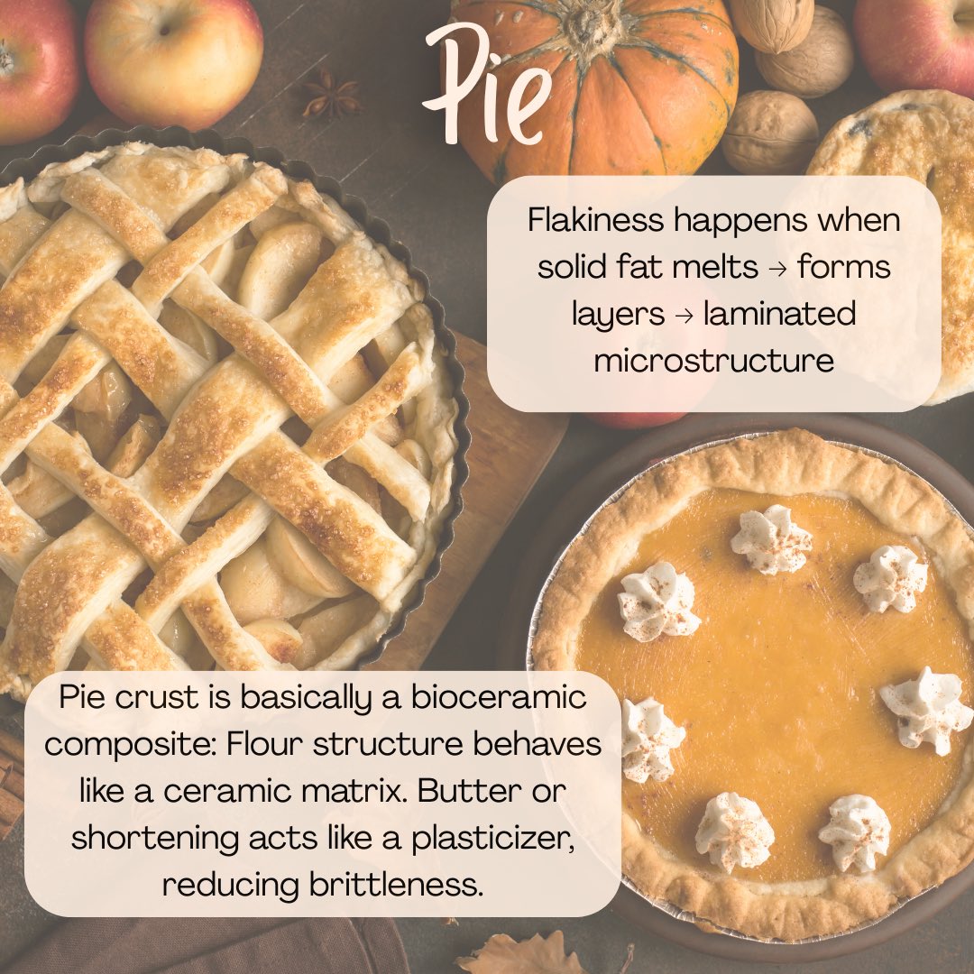 GTMSE_3's tweet image. Turkey. Bread. Pie. And a whole lot of materials science 🦃🍞🥧  
Polymers, foams, and composites never tasted so good.  
#MSE #MaterialsScience #Thanksgiving