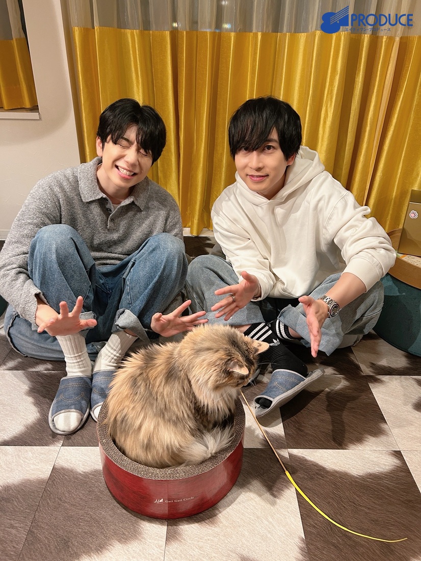 猫だけのライブ配信アプリ #nekochan
スペシャル生配信に

#中島ヨシキ #西山宏太朗
が出演いたしました🐈🐈‍⬛

1週間のアーカイブがございますので
お時間合わなかった方
もう一度ご覧になりたい方は
是非こちらからお楽しみください🐾

nekochanlive.onelink.me/cihe/drnaqoav