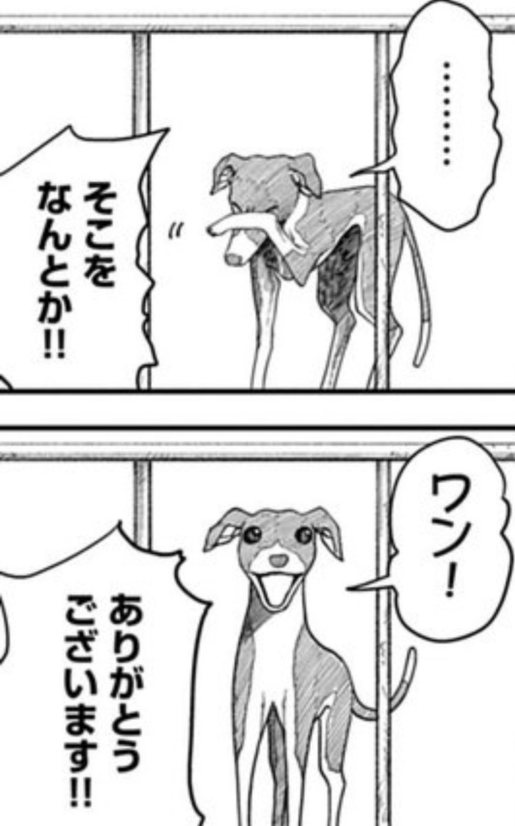 愚鈍 tweet media