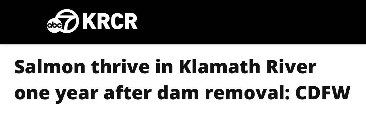 A year after @CAGovernor Gavin Newsom’s Salmon Strategy removed four dams on the Klamath River — “salmon have been observed spawning in the Klamath River, including tributaries upstream of Klamath Lake where they have not been seen in more than 100 years.”